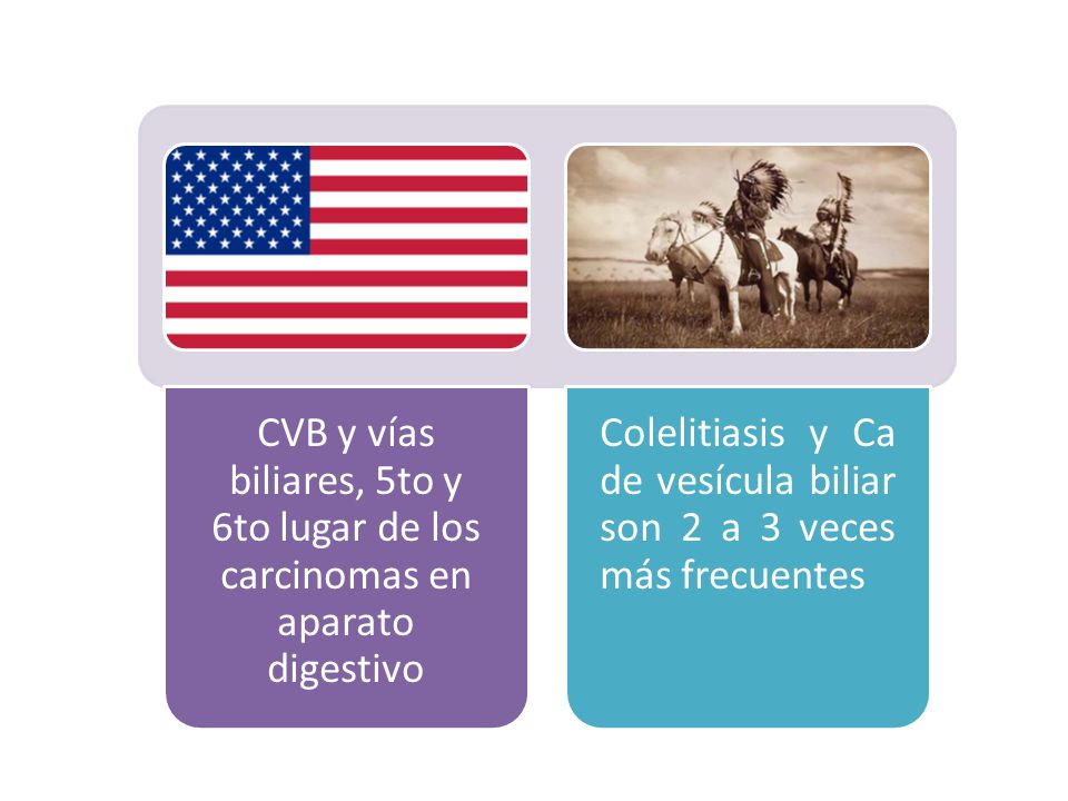 CVB y vías biliares, 5to y 6to lugar de los carcinomas en aparato digestivo