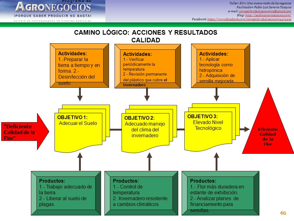 CAMINO LÓGICO: ACCIONES Y RESULTADOS Eficiente Calidad de la Flor