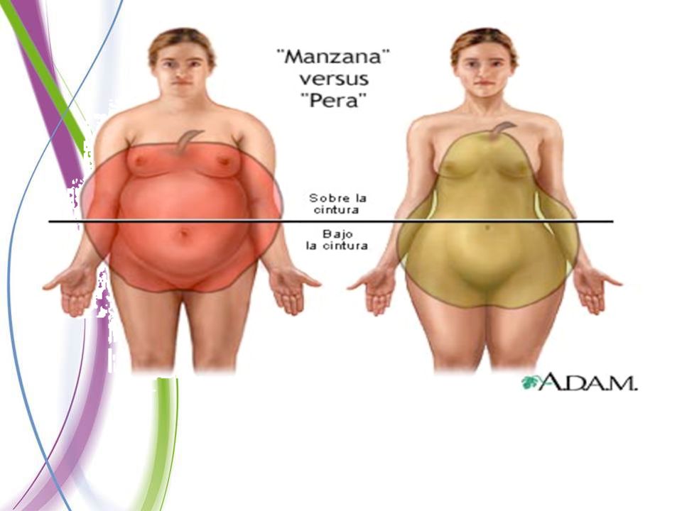 La obesidad tipo manzana está mas relacionada con problemas cardiovasculares y enfermedades metabólicas.