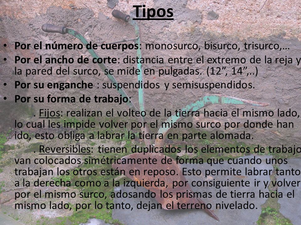Tipos Por el número de cuerpos: monosurco, bisurco, trisurco,…