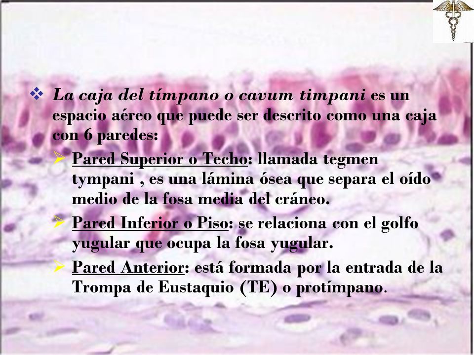 La caja del tímpano o cavum timpani es un espacio aéreo que puede ser descrito como una caja con 6 paredes:
