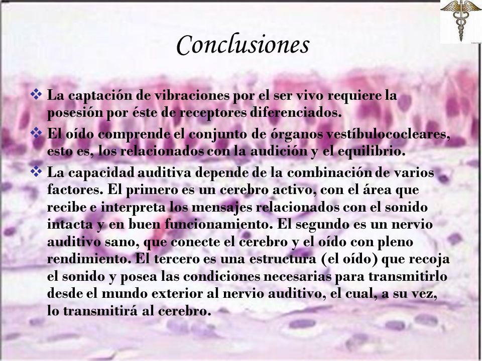 Conclusiones La captación de vibraciones por el ser vivo requiere la posesión por éste de receptores diferenciados.