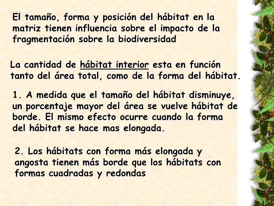 El tamaño, forma y posición del hábitat en la matriz tienen influencia sobre el impacto de la fragmentación sobre la biodiversidad