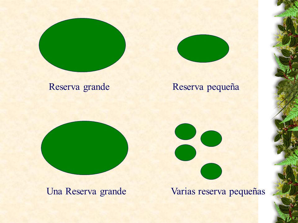 Reserva grande Reserva pequeña Una Reserva grande Varias reserva pequeñas
