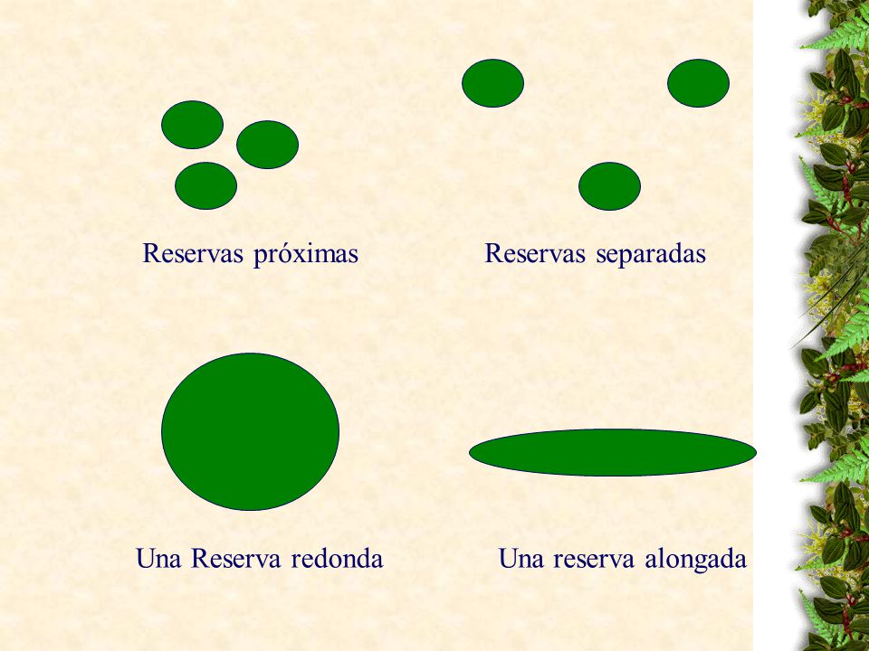 Reservas próximas Reservas separadas Una Reserva redonda Una reserva alongada