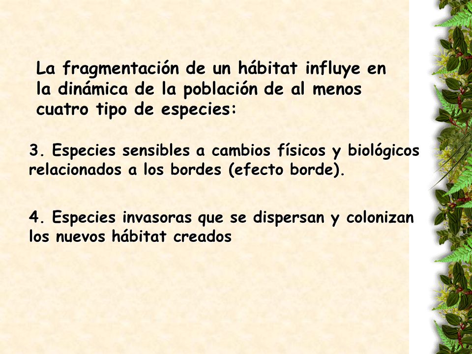 La fragmentación de un hábitat influye en la dinámica de la población de al menos cuatro tipo de especies: