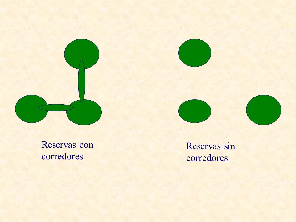 Reservas con corredores Reservas sin corredores