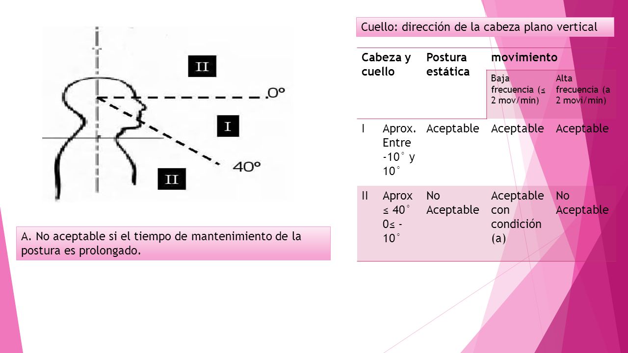 Cuello: dirección de la cabeza plano vertical Cabeza y cuello