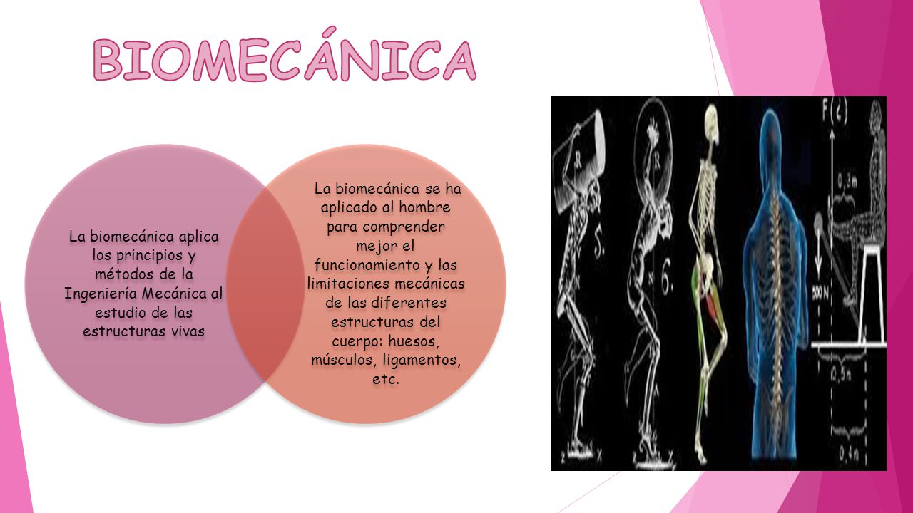 BIOMECÁNICA La biomecánica aplica los principios y métodos de la Ingeniería Mecánica al estudio de las estructuras vivas.