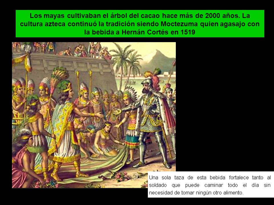 Los mayas cultivaban el árbol del cacao hace más de 2000 años