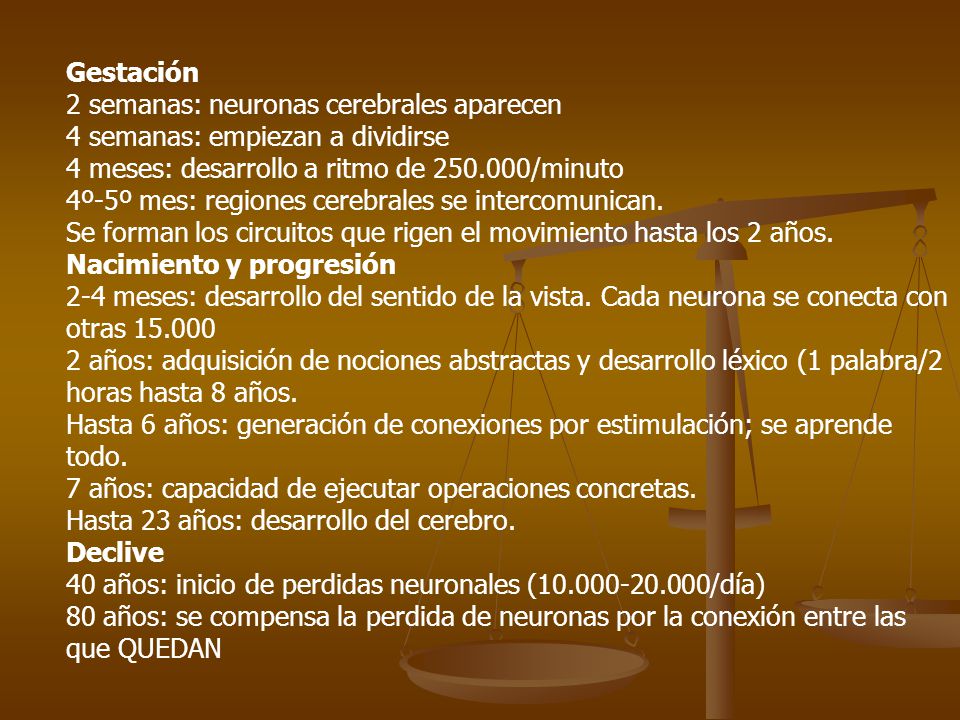 Gestación 2 semanas: neuronas cerebrales aparecen. 4 semanas: empiezan a dividirse. 4 meses: desarrollo a ritmo de /minuto.