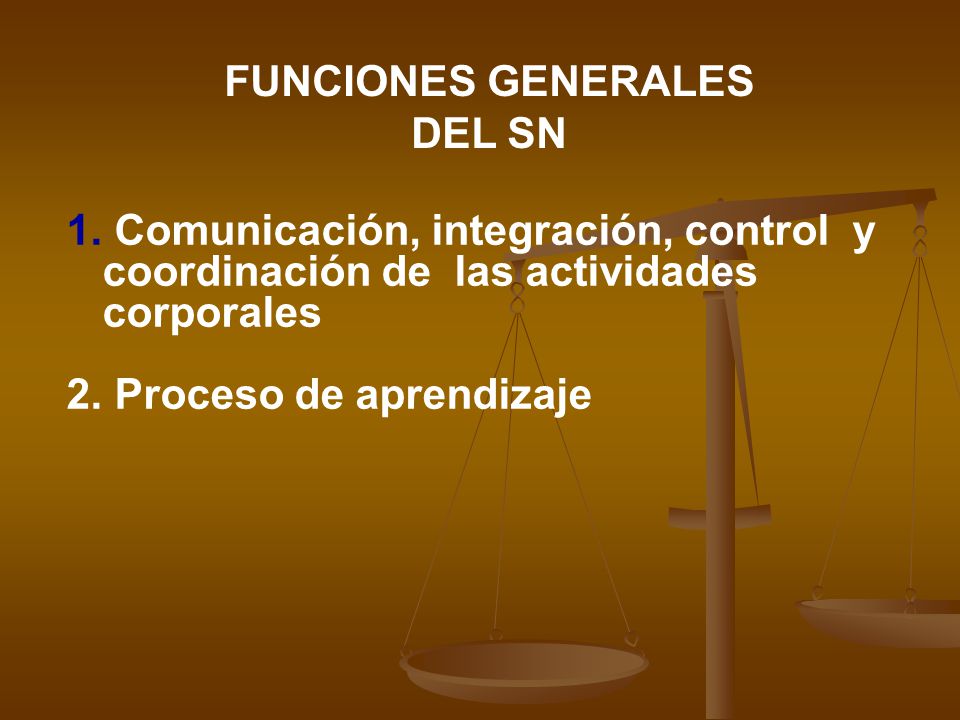 FUNCIONES GENERALES DEL SN. Comunicación, integración, control y coordinación de las actividades corporales.