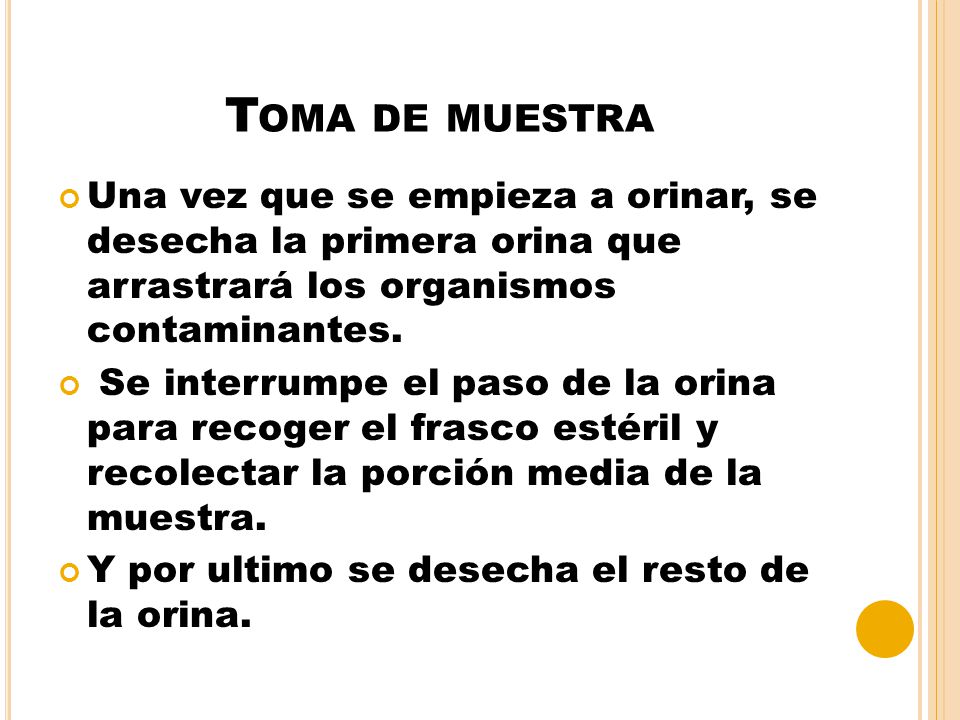 Toma de muestra Una vez que se empieza a orinar, se desecha la primera orina que arrastrará los organismos contaminantes.
