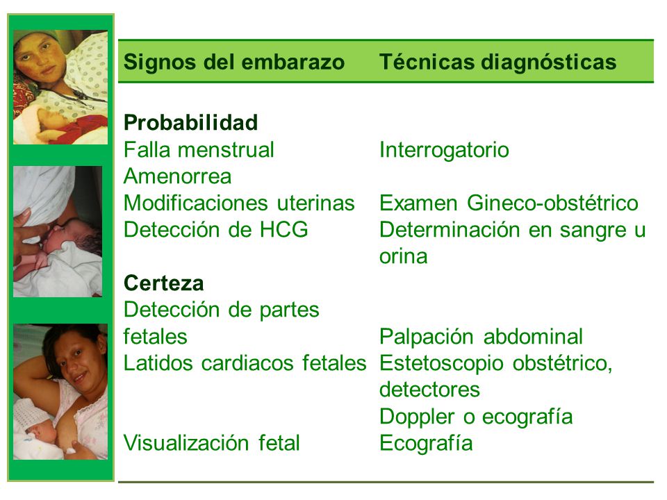 Signos del embarazo Técnicas diagnósticas. Probabilidad. Falla menstrual Amenorrea. Interrogatorio.