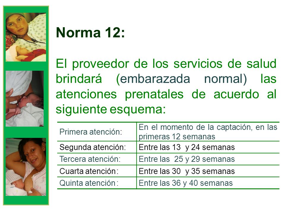 Norma 12: El proveedor de los servicios de salud brindará (embarazada normal) las atenciones prenatales de acuerdo al siguiente esquema: