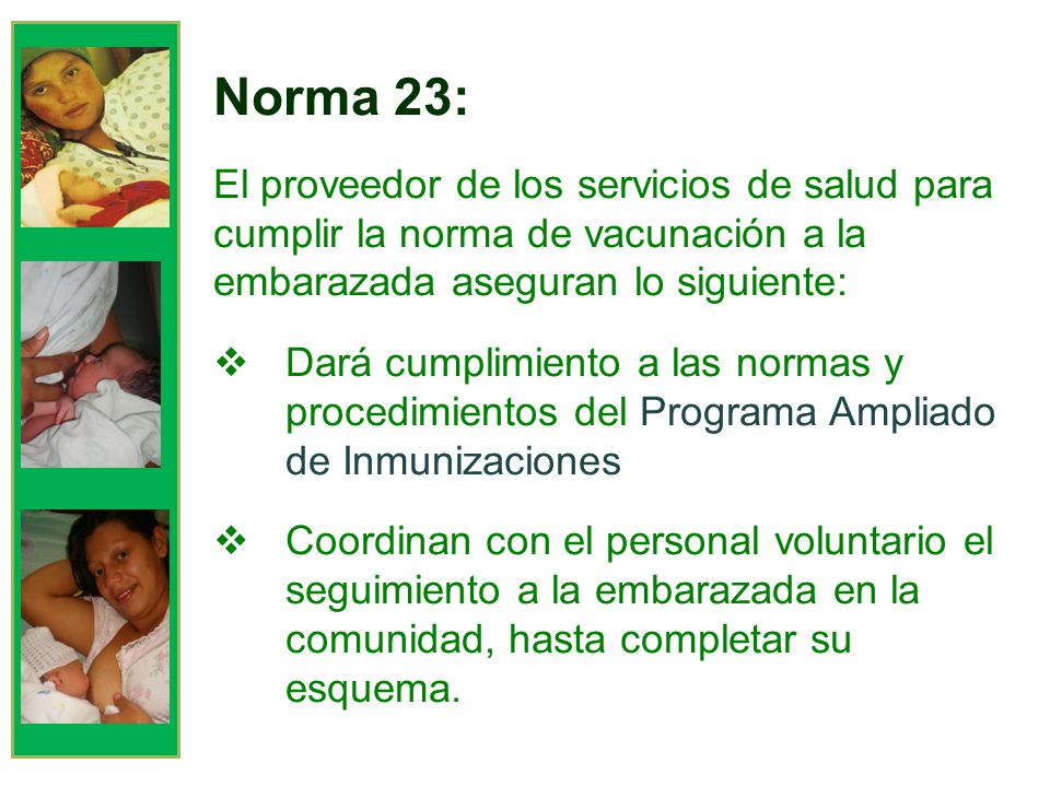 Norma 23: El proveedor de los servicios de salud para cumplir la norma de vacunación a la embarazada aseguran lo siguiente: