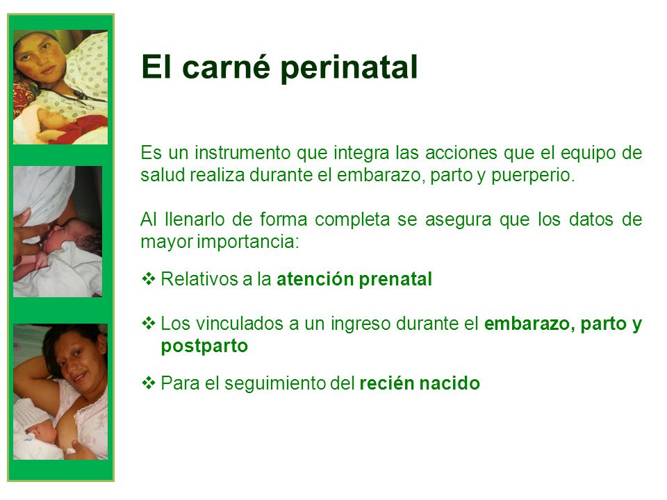 El carné perinatal Es un instrumento que integra las acciones que el equipo de salud realiza durante el embarazo, parto y puerperio.