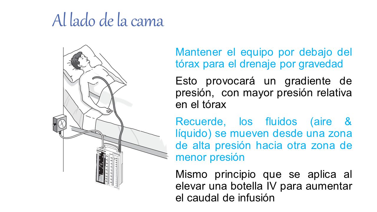 Al lado de la cama Mantener el equipo por debajo del tórax para el drenaje por gravedad.