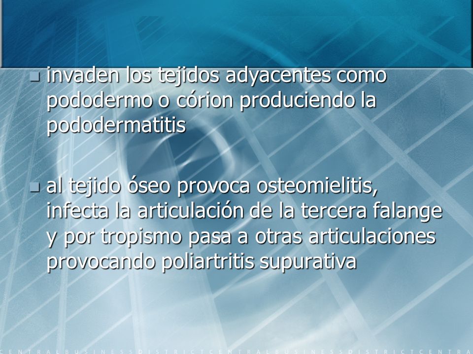 invaden los tejidos adyacentes como pododermo o córion produciendo la pododermatitis