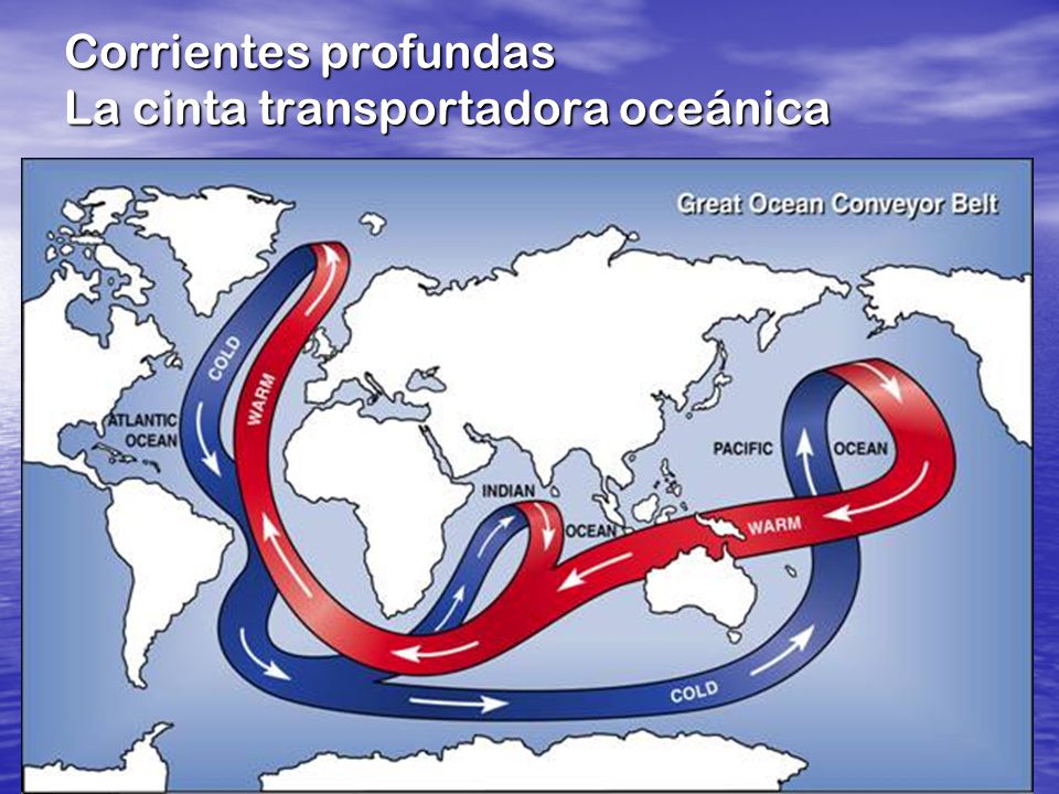Corrientes profundas La cinta transportadora oceánica