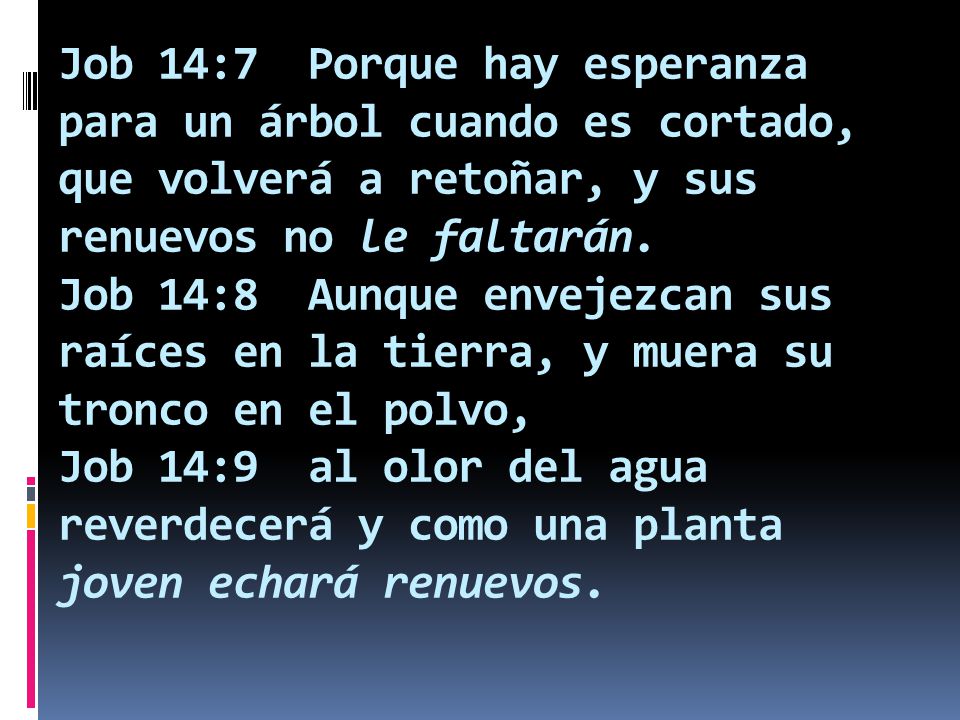 Job 14:7 Porque hay esperanza para un árbol cuando es cortado, que volverá a retoñar, y sus renuevos no le faltarán.