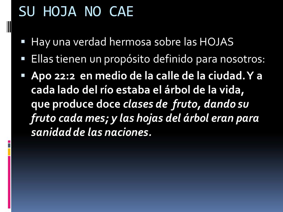 SU HOJA NO CAE Hay una verdad hermosa sobre las HOJAS