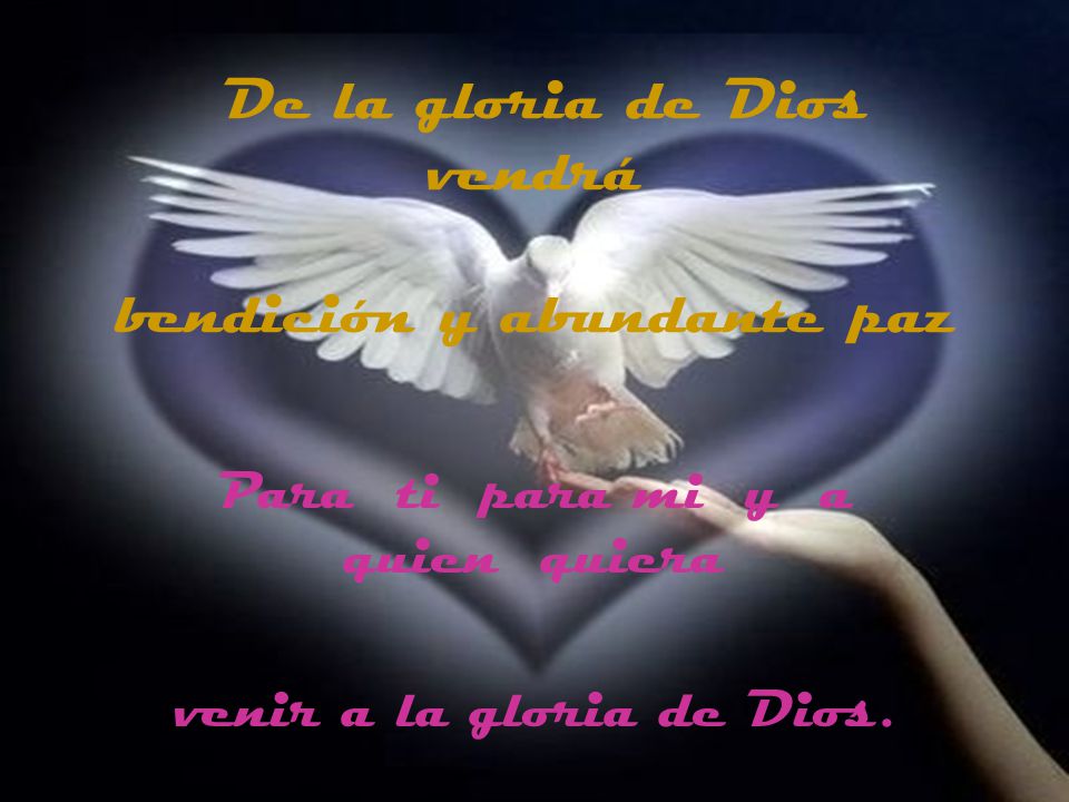 De la gloria de Dios vendrá bendición y abundante paz