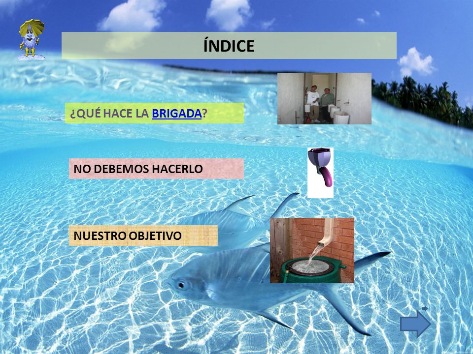 ÍNDICE ¿QUÉ HACE LA BRIGADA NO DEBEMOS HACERLO NUESTRO OBJETIVO