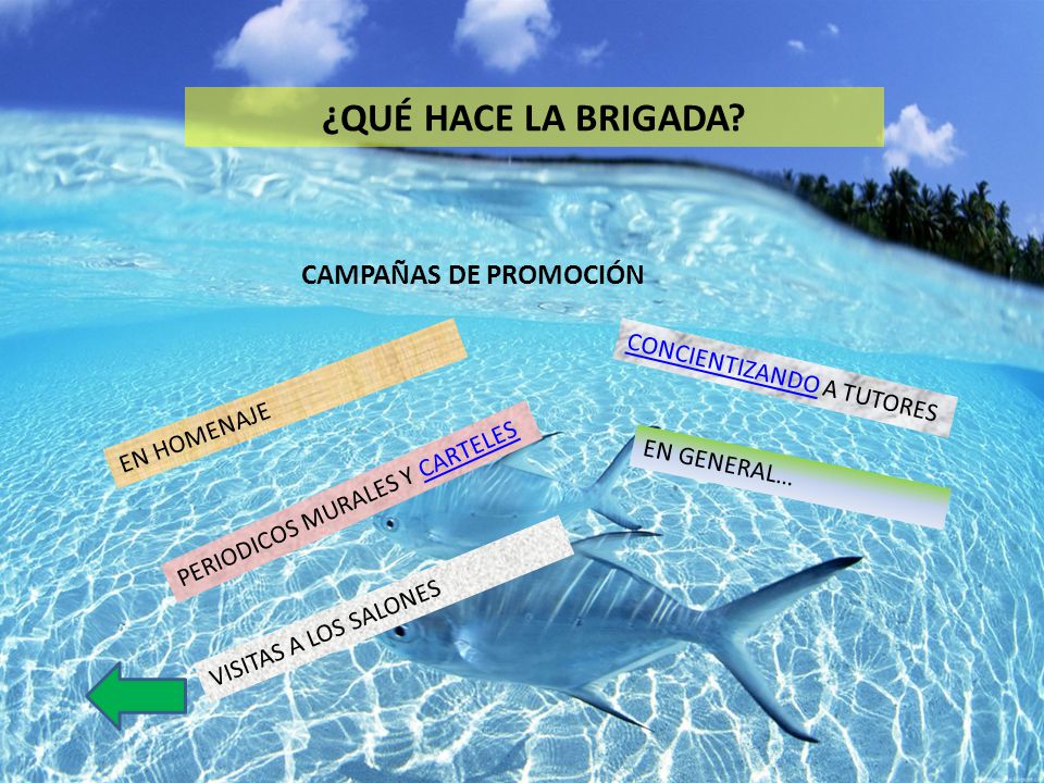 ¿QUÉ HACE LA BRIGADA CAMPAÑAS DE PROMOCIÓN CONCIENTIZANDO A TUTORES