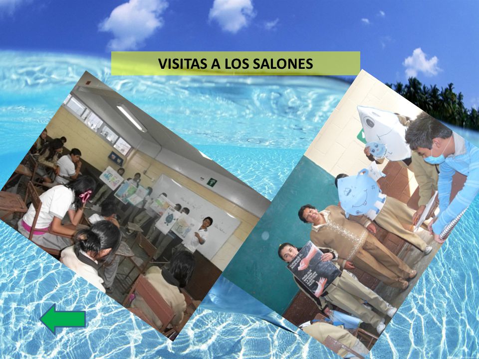 VISITAS A LOS SALONES