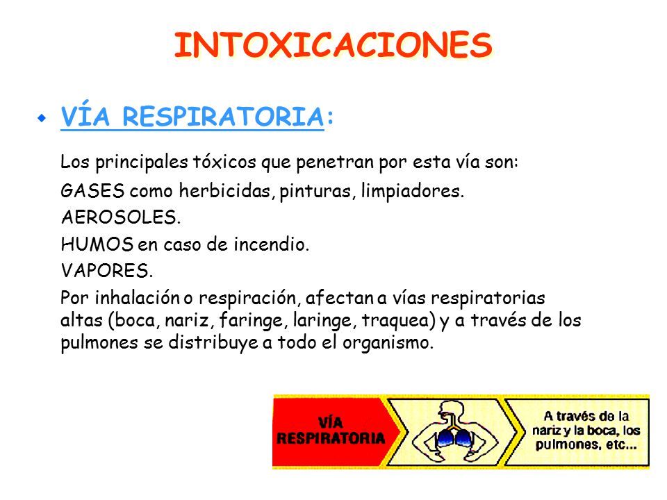 INTOXICACIONES Los principales tóxicos que penetran por esta vía son: