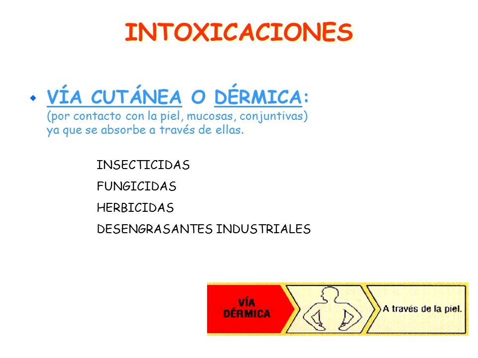 INTOXICACIONES VÍA CUTÁNEA O DÉRMICA: (por contacto con la piel, mucosas, conjuntivas) ya que se absorbe a través de ellas.