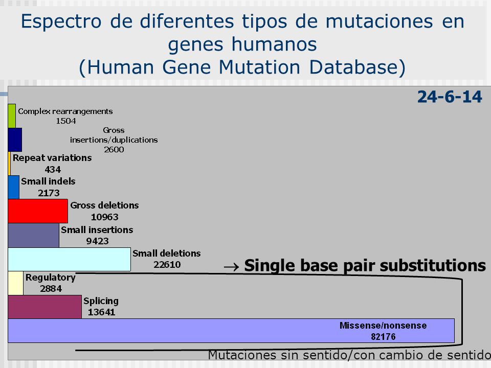 Espectro de diferentes tipos de mutaciones en genes humanos (Human Gene Mutation Database)