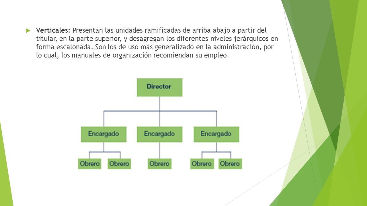 Verticales: Presentan las unidades ramificadas de arriba abajo a partir del titular, en la parte superior, y desagregan los diferentes niveles jerárquicos en forma escalonada.