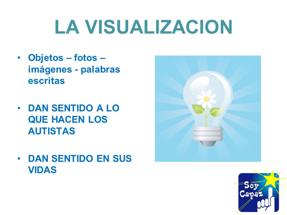 LA VISUALIZACION Objetos – fotos – imágenes - palabras escritas