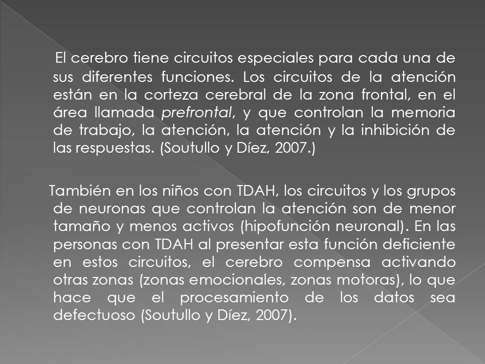 El cerebro tiene circuitos especiales para cada una de sus diferentes funciones. Los circuitos de la atención están en la corteza cerebral de la zona frontal, en el área llamada prefrontal, y que controlan la memoria de trabajo, la atención, la atención y la inhibición de las respuestas. (Soutullo y Díez, 2007.)