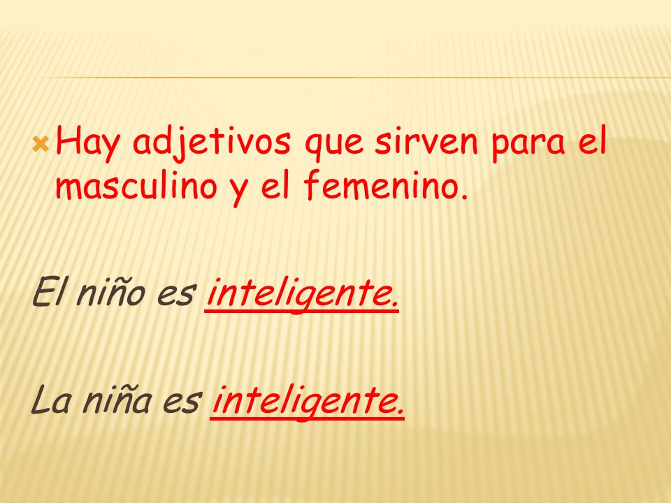 Hay adjetivos que sirven para el masculino y el femenino.