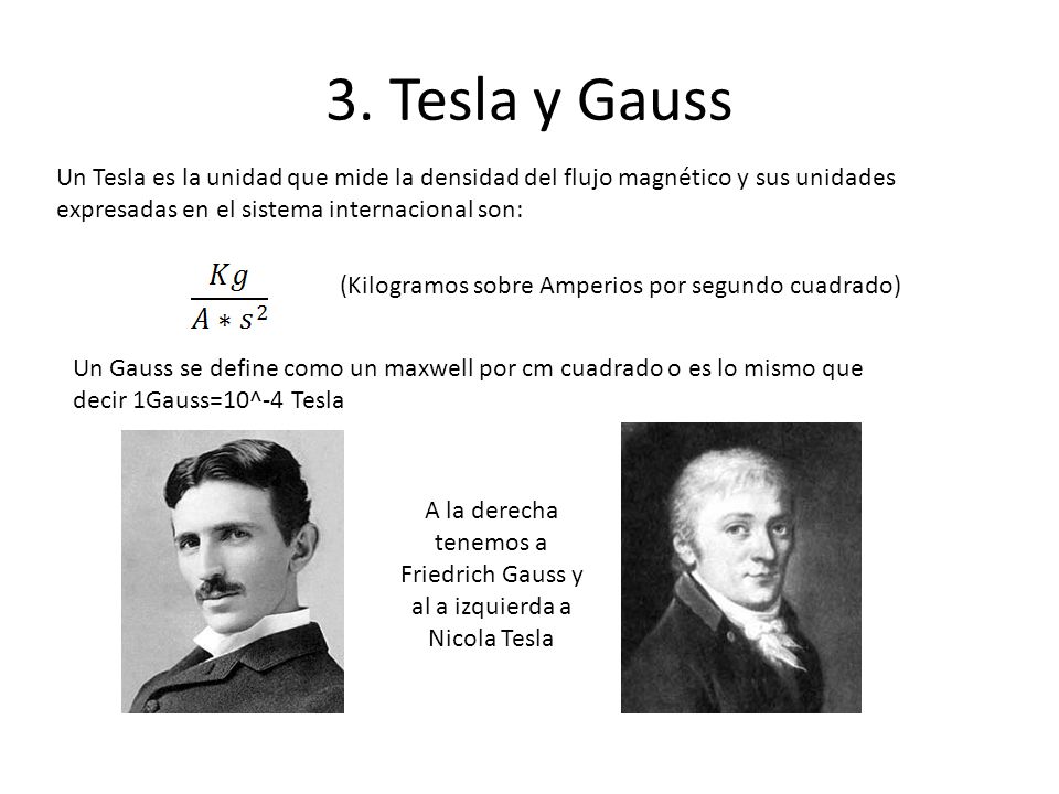 A la derecha tenemos a Friedrich Gauss y al a izquierda a Nicola Tesla