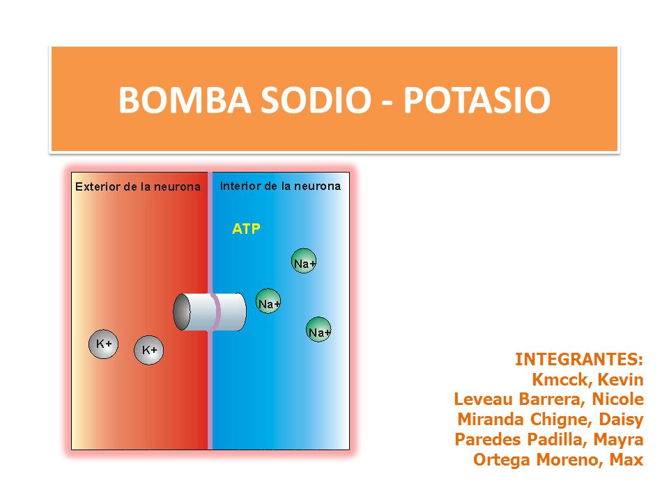 BOMBA SODIO - POTASIO INTEGRANTES: Kmcck, Kevin Leveau Barrera, Nicole