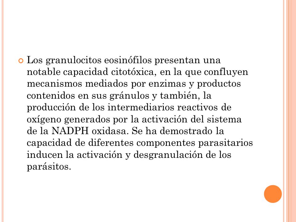 Los granulocitos eosinófilos presentan una notable capacidad citotóxica, en la que confluyen mecanismos mediados por enzimas y productos contenidos en sus gránulos y también, la producción de los intermediarios reactivos de oxígeno generados por la activación del sistema de la NADPH oxidasa.