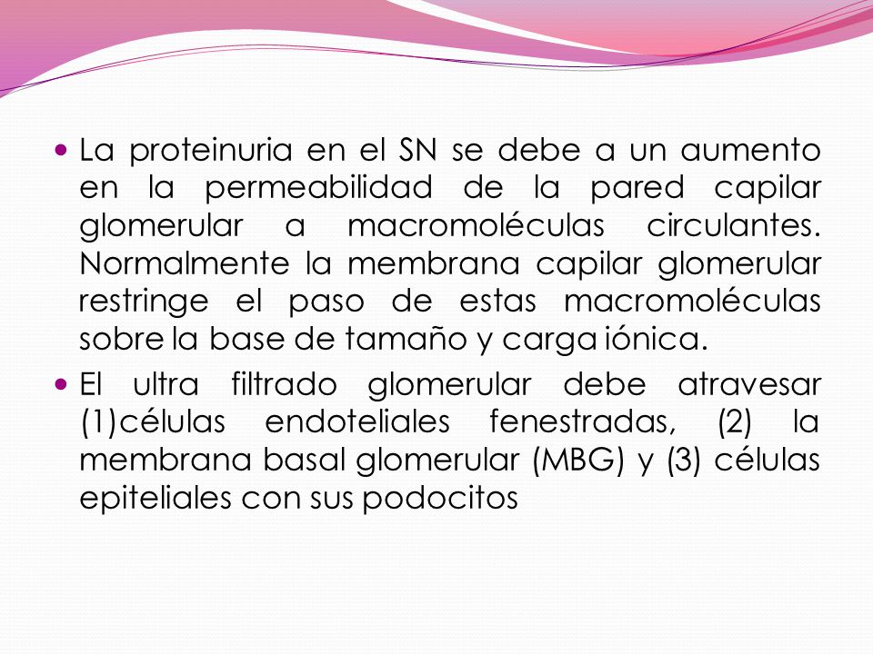 La proteinuria en el SN se debe a un aumento en la permeabilidad de la pared capilar glomerular a macromoléculas circulantes. Normalmente la membrana capilar glomerular restringe el paso de estas macromoléculas sobre la base de tamaño y carga iónica.
