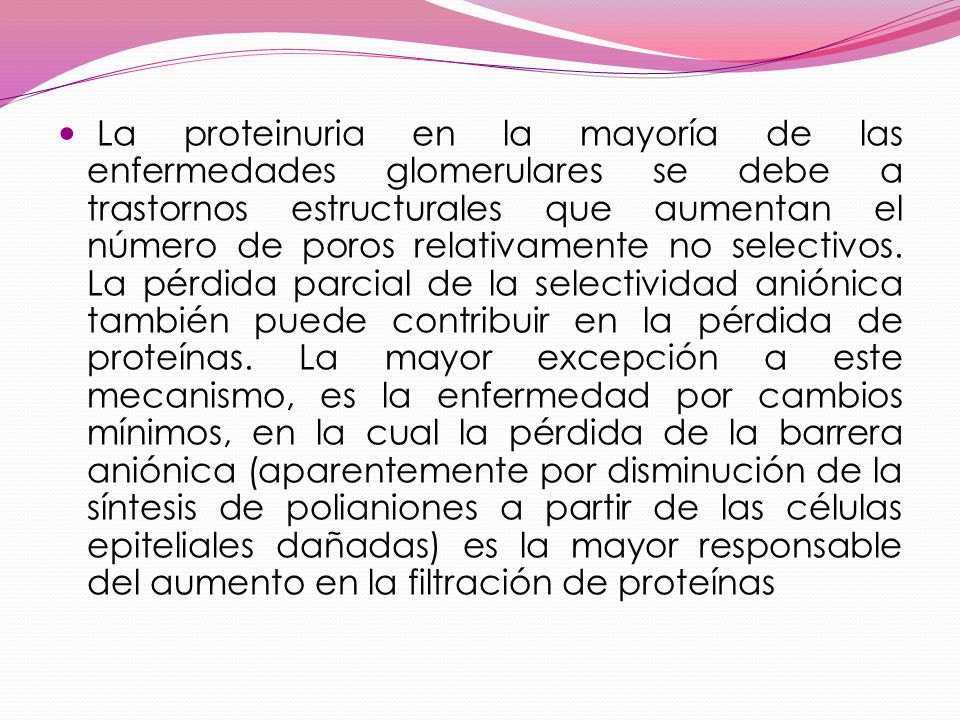La proteinuria en la mayoría de las enfermedades glomerulares se debe a trastornos estructurales que aumentan el número de poros relativamente no selectivos.
