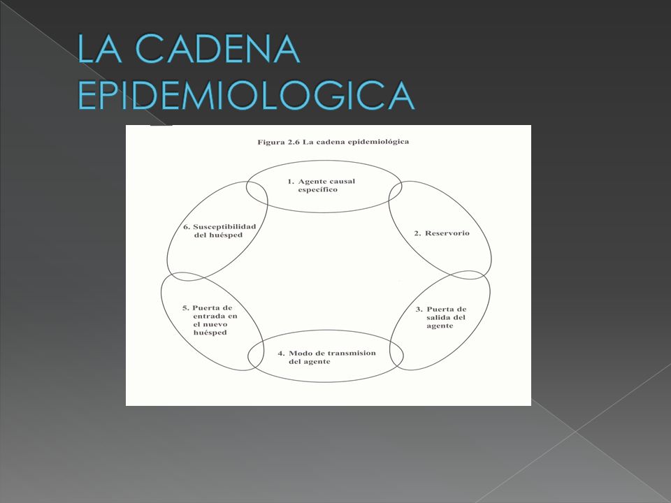 Cadena Epidemiologica - ppt descargar
