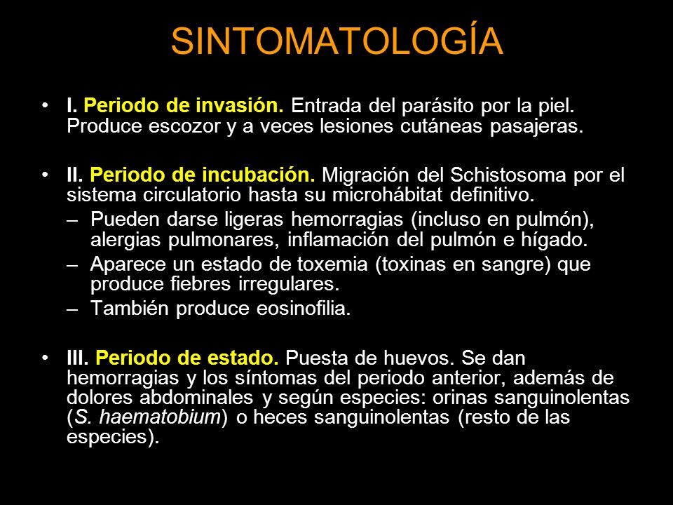 SINTOMATOLOGÍA I. Periodo de invasión. Entrada del parásito por la piel. Produce escozor y a veces lesiones cutáneas pasajeras.