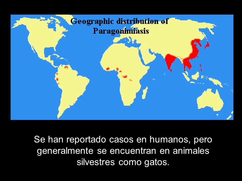 Se han reportado casos en humanos, pero generalmente se encuentran en animales silvestres como gatos.