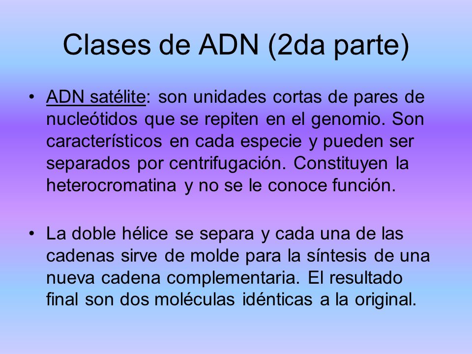 Clases de ADN (2da parte)
