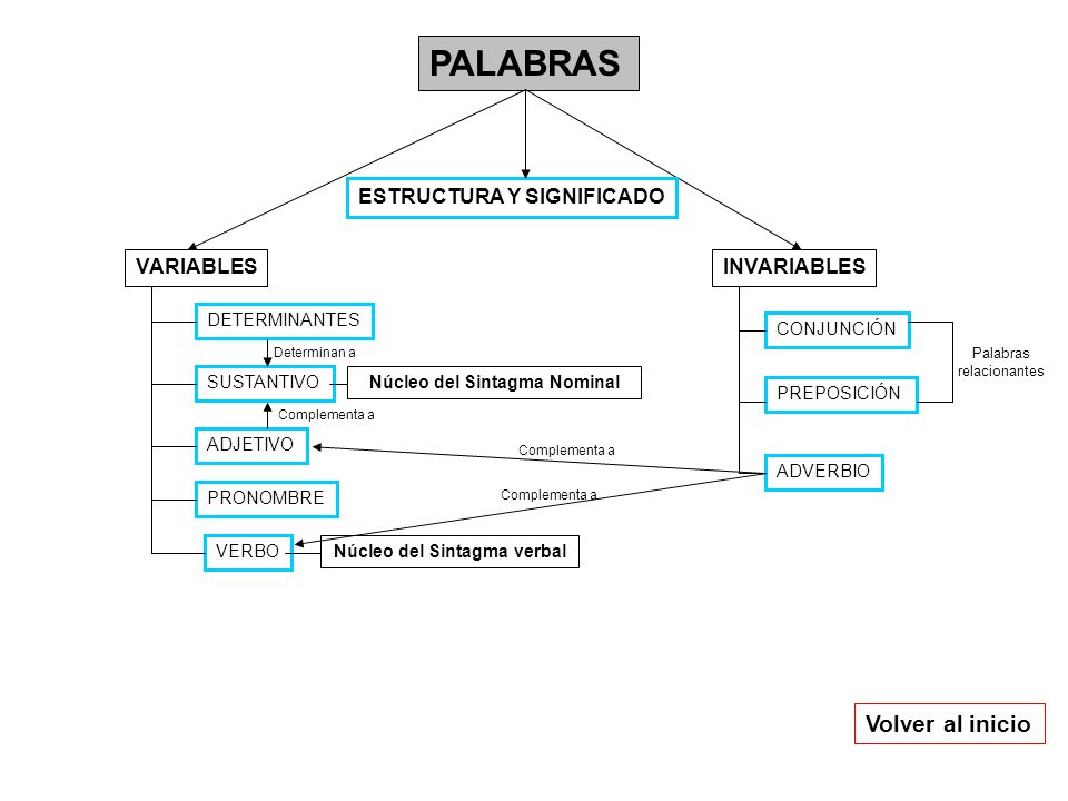 Núcleo del Sintagma Nominal Núcleo del Sintagma verbal