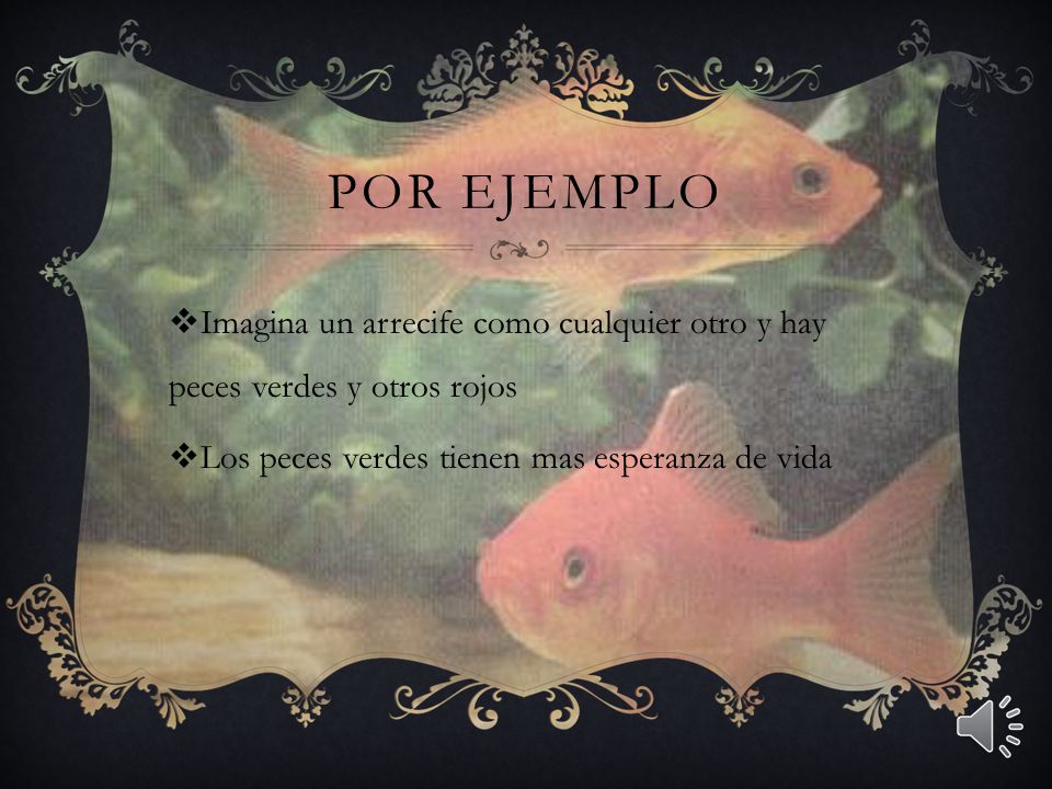 Por ejemplo Imagina un arrecife como cualquier otro y hay peces verdes y otros rojos.