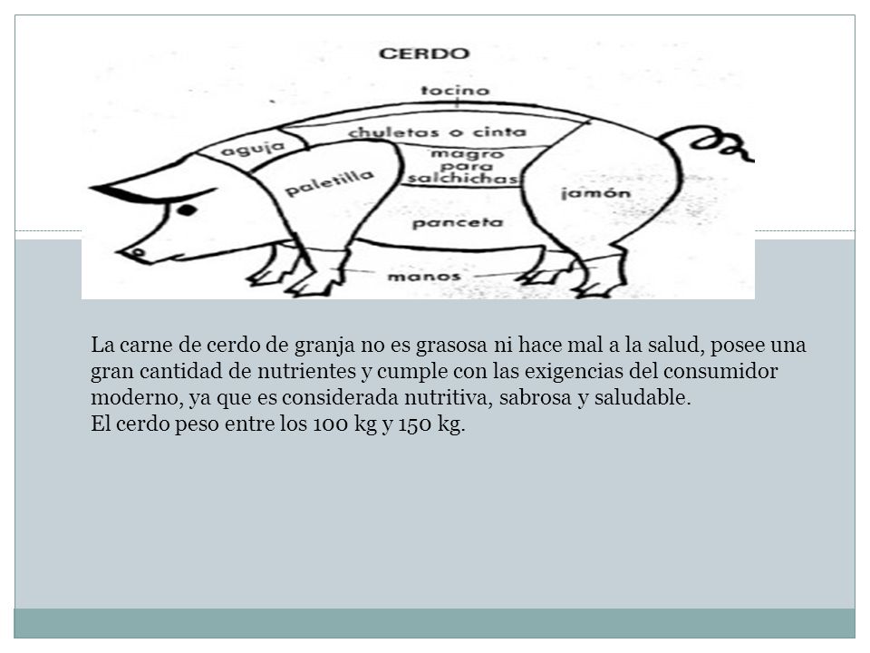 La carne de cerdo de granja no es grasosa ni hace mal a la salud, posee una gran cantidad de nutrientes y cumple con las exigencias del consumidor moderno, ya que es considerada nutritiva, sabrosa y saludable.
