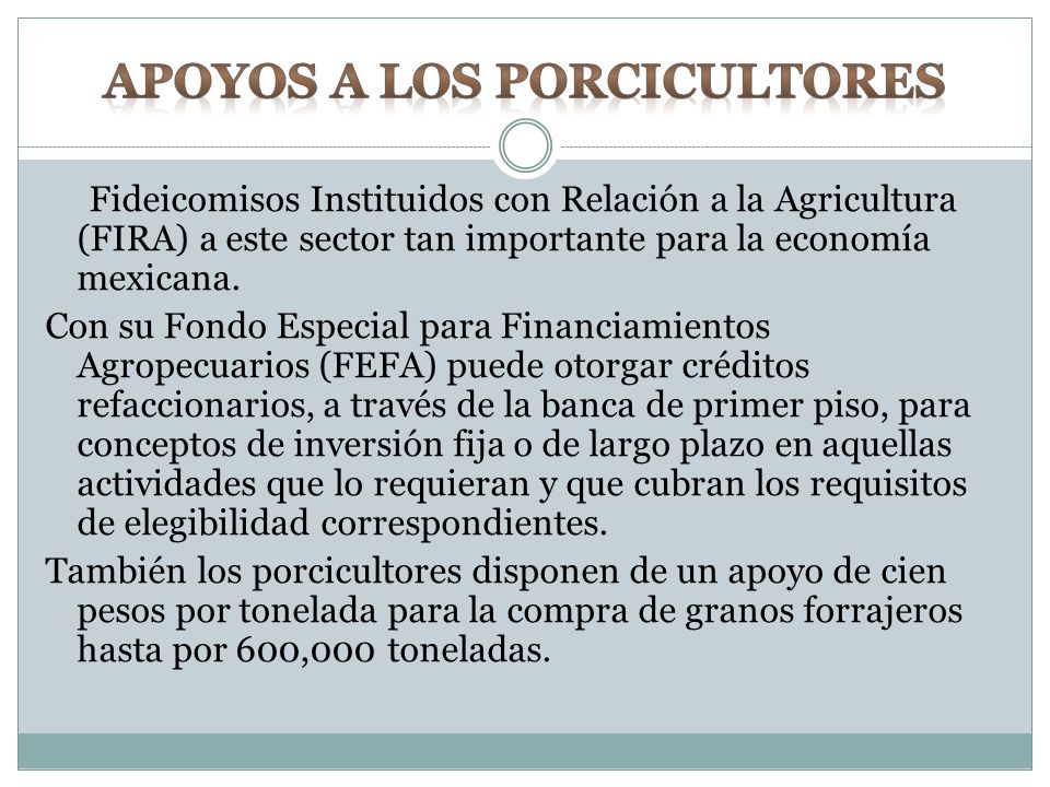 APOYOS A LOS PORCICULTORES